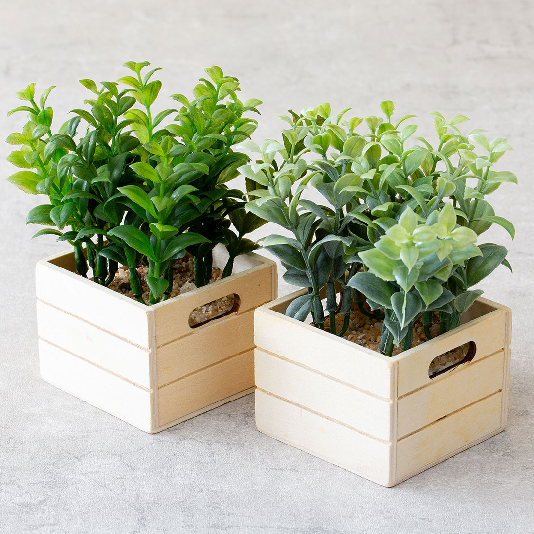 ハートリーフ コンテナBOX フェイクグリーン 光触媒加工