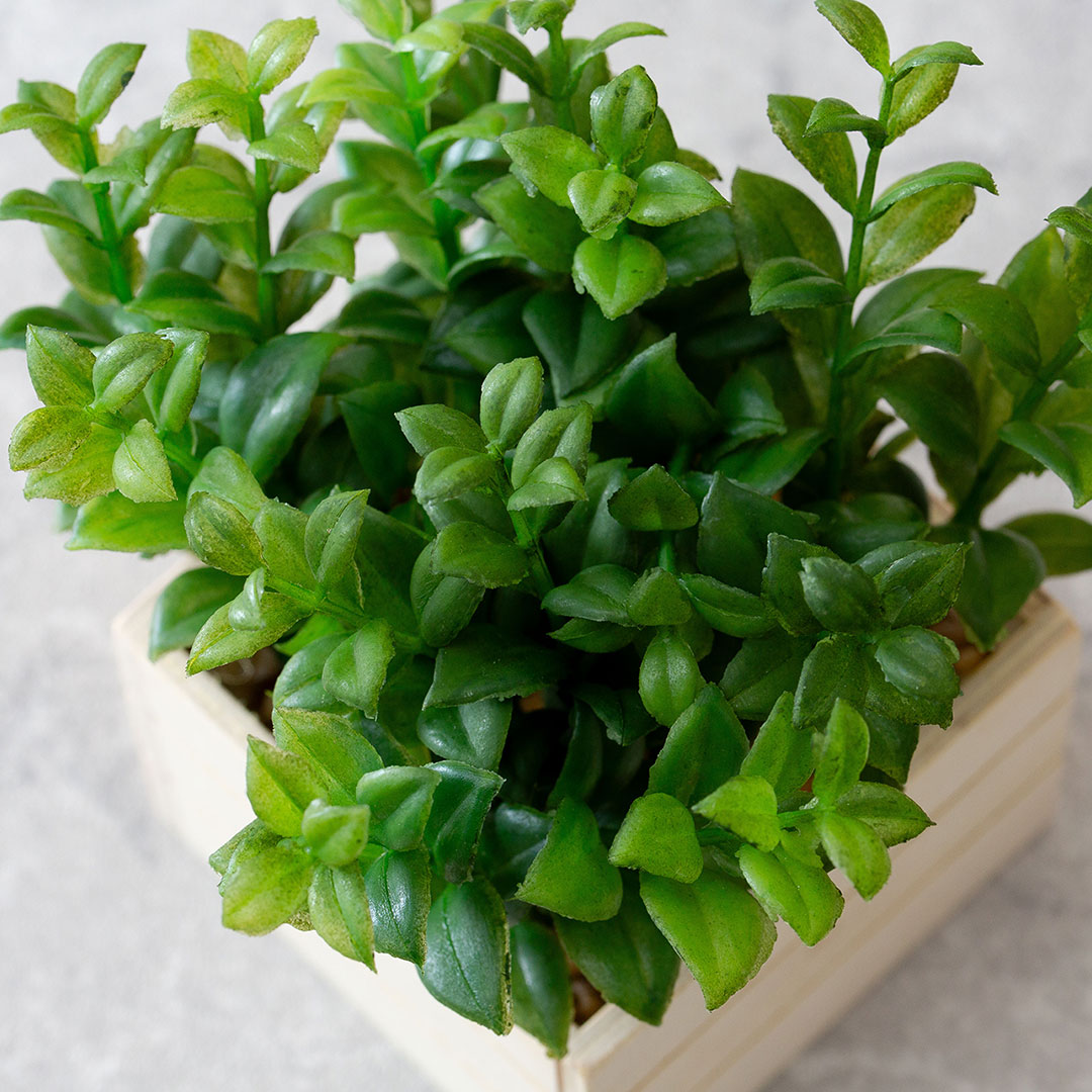 ハートリーフ コンテナBOX フェイクグリーン 光触媒加工