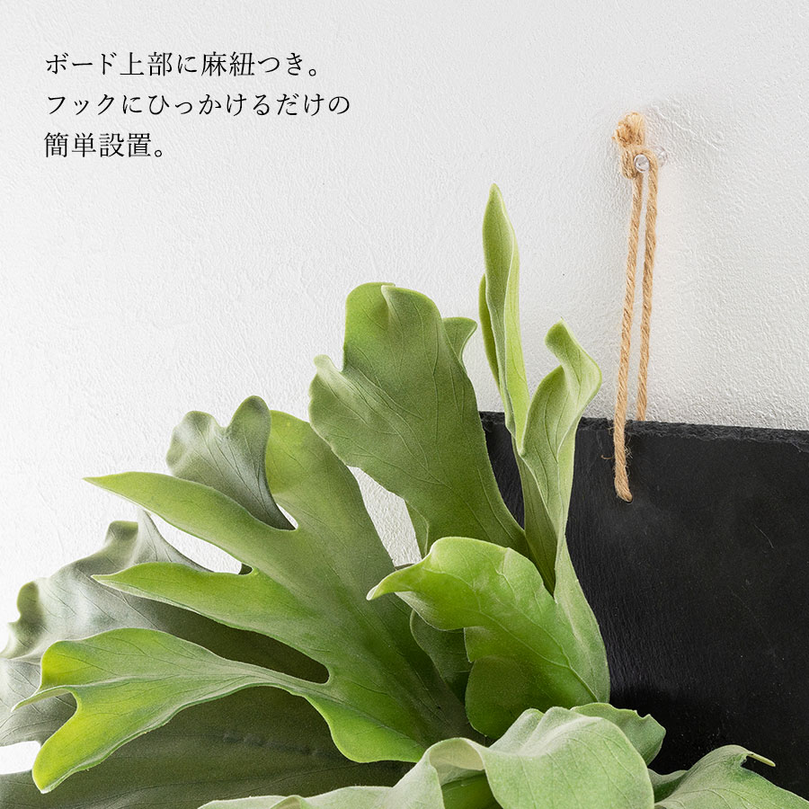 ビカクシダ ウォールハンギング ストレート フェイクグリーン