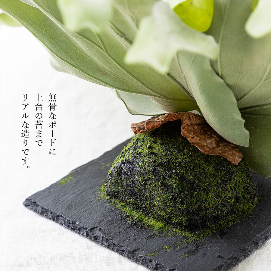 ビカクシダ ウォールハンギング ストレート フェイクグリーン