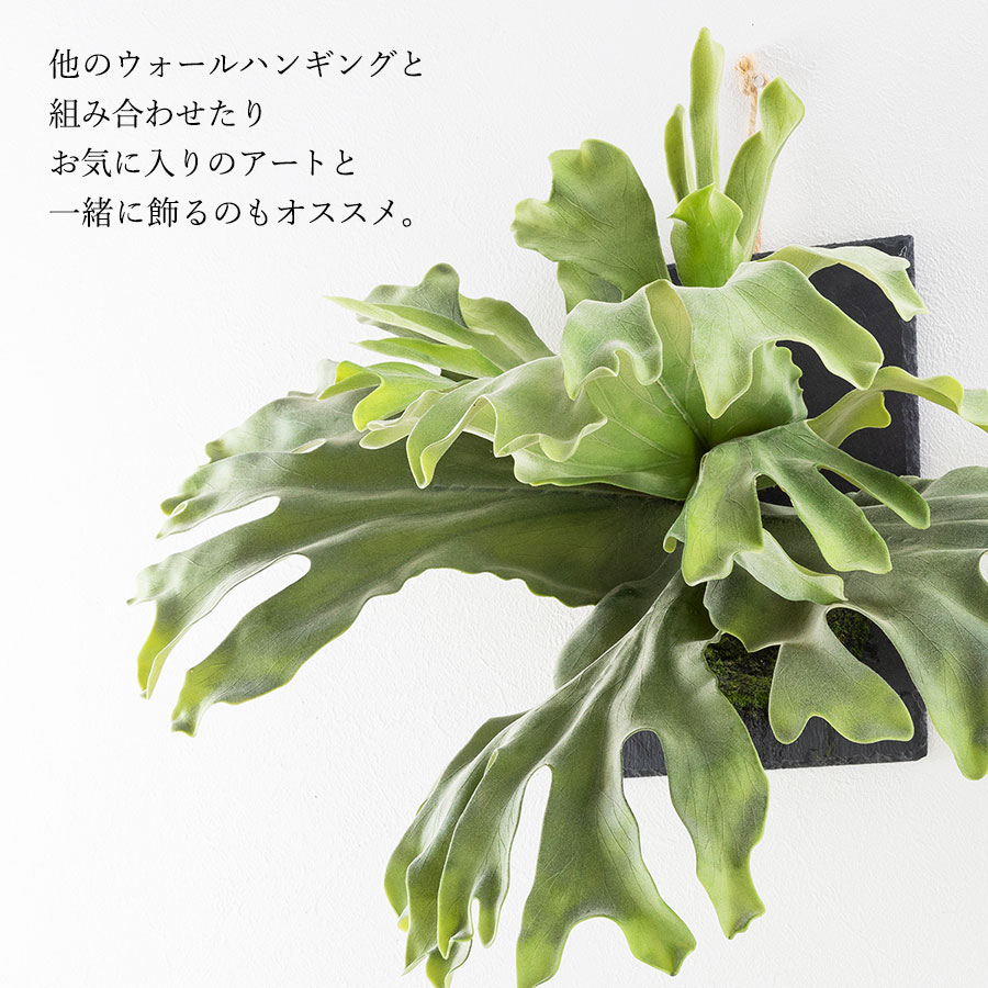 ビカクシダ ウォールハンギング ストレート フェイクグリーン