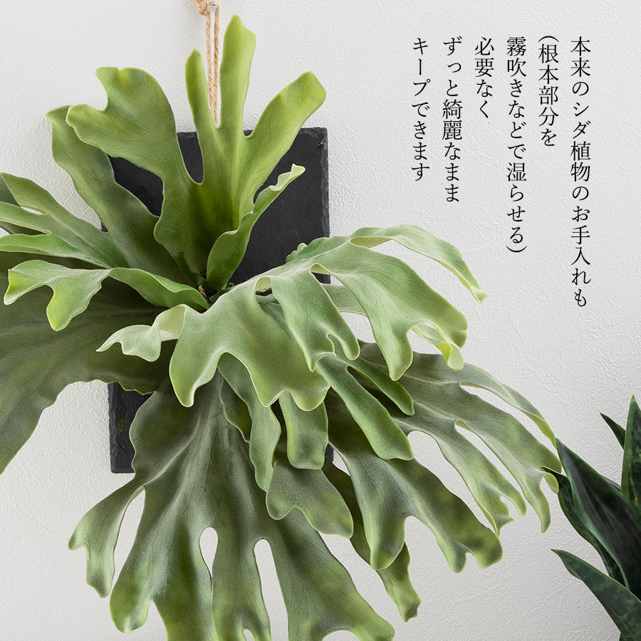 ビカクシダ ウォールハンギング ストレート フェイクグリーン
