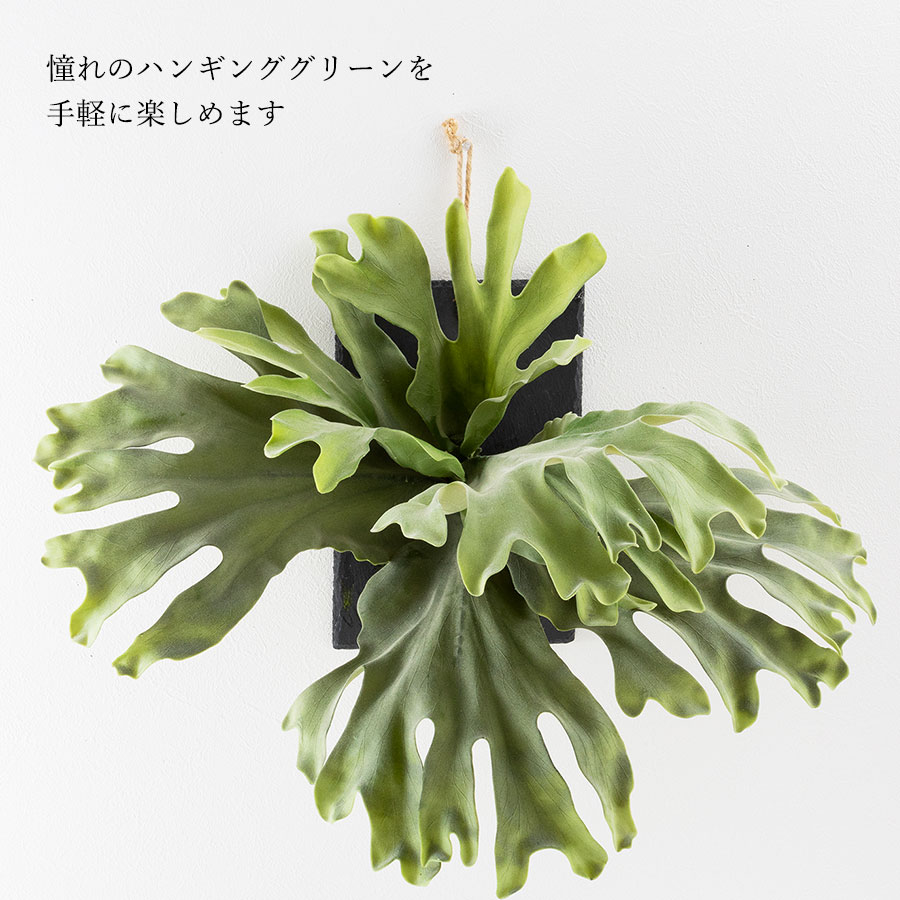 ビカクシダ ウォールハンギング ストレート フェイクグリーン