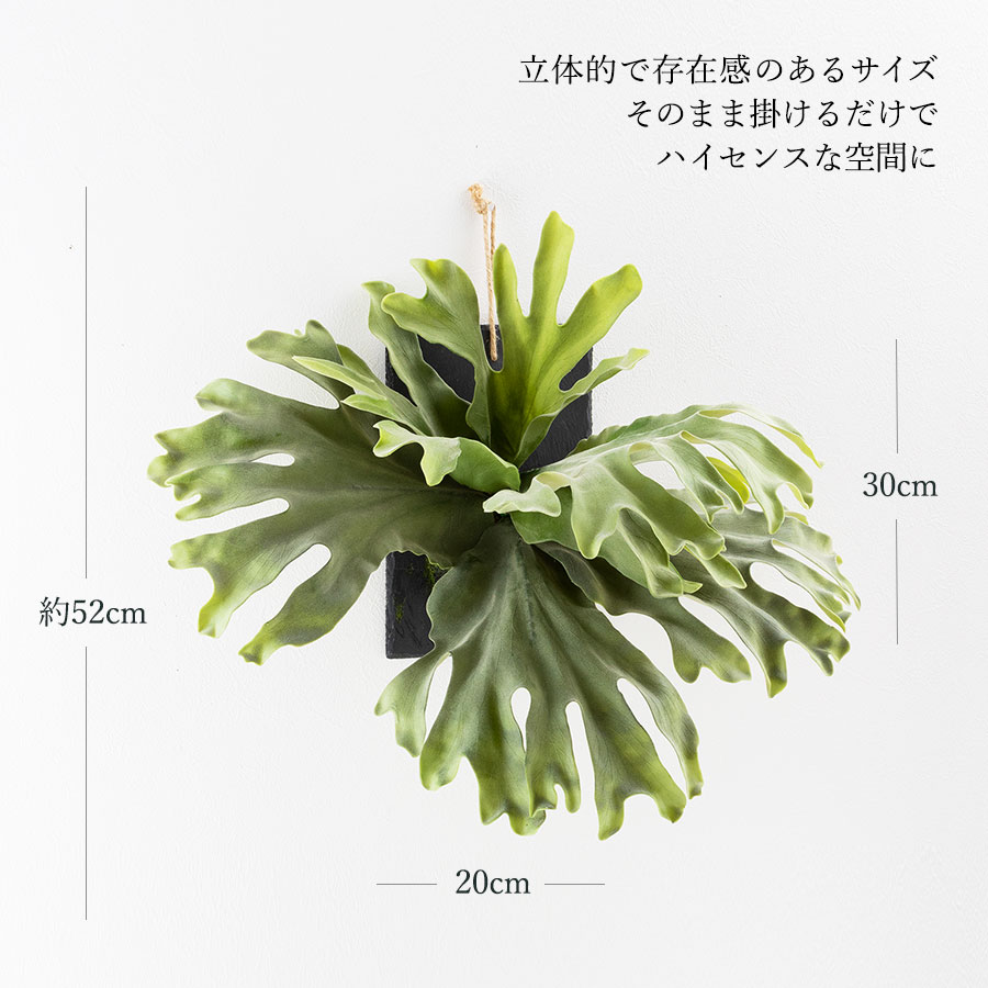 ビカクシダ ウォールハンギング ストレート フェイクグリーン