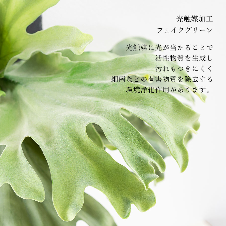 ビカクシダ ウォールハンギング ストレート フェイクグリーン