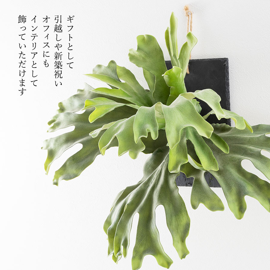 ビカクシダ ウォールハンギング ストレート フェイクグリーン