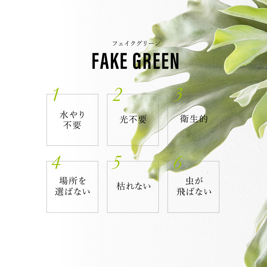 ビカクシダ ウォールハンギング ストレート フェイクグリーン