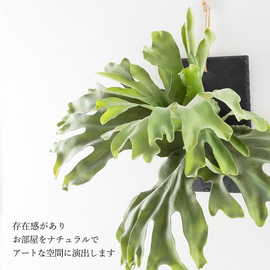 ビカクシダ ウォールハンギング ストレート フェイクグリーン