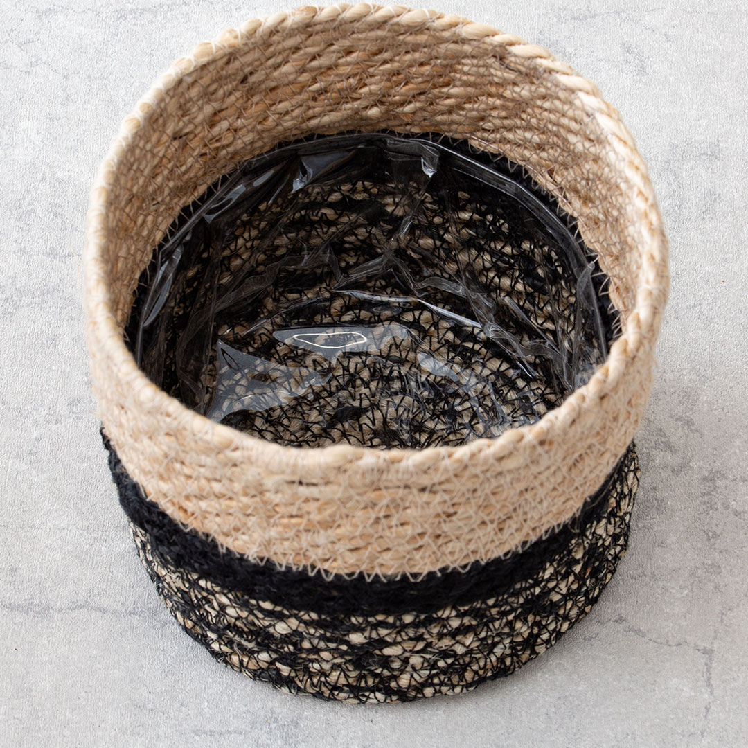 キセログラフィカ ポット フェイクグリーン 光触媒加工