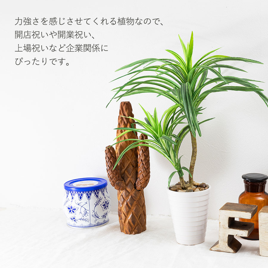 ユッカ フェイクグリーン