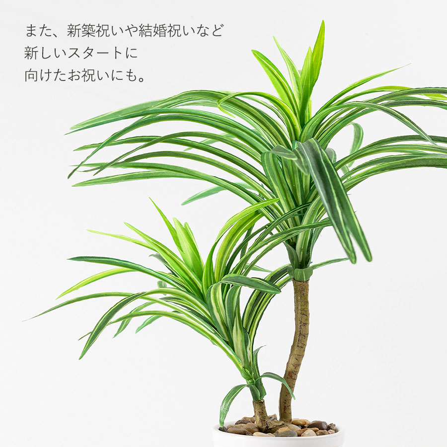 ユッカ フェイクグリーン