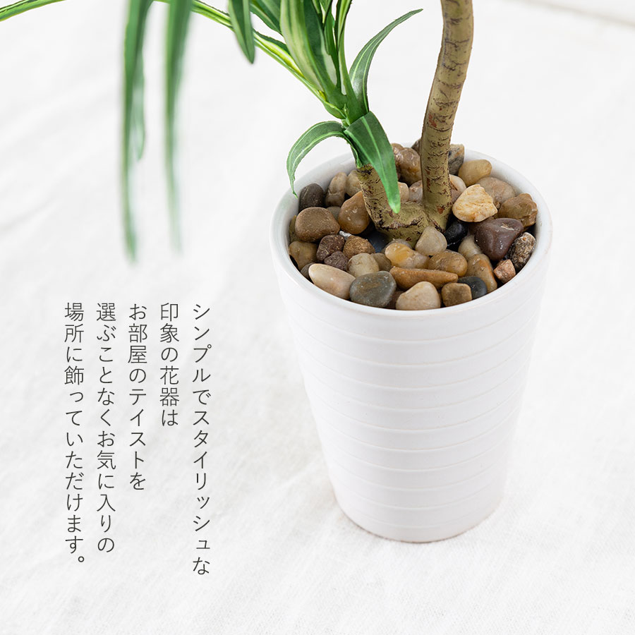 ユッカ フェイクグリーン