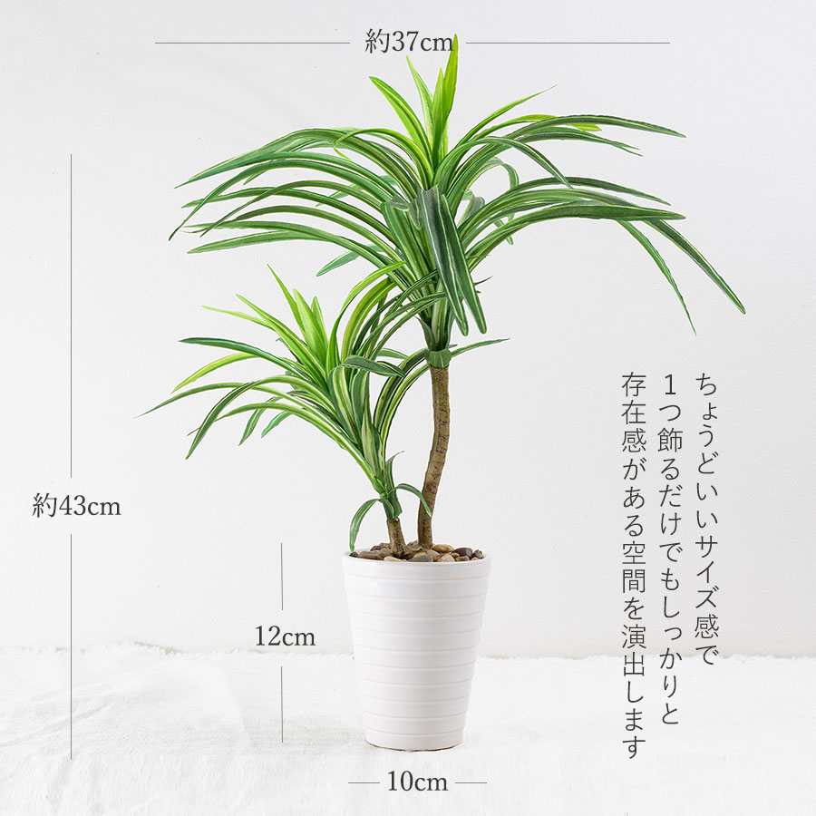 ユッカ フェイクグリーン