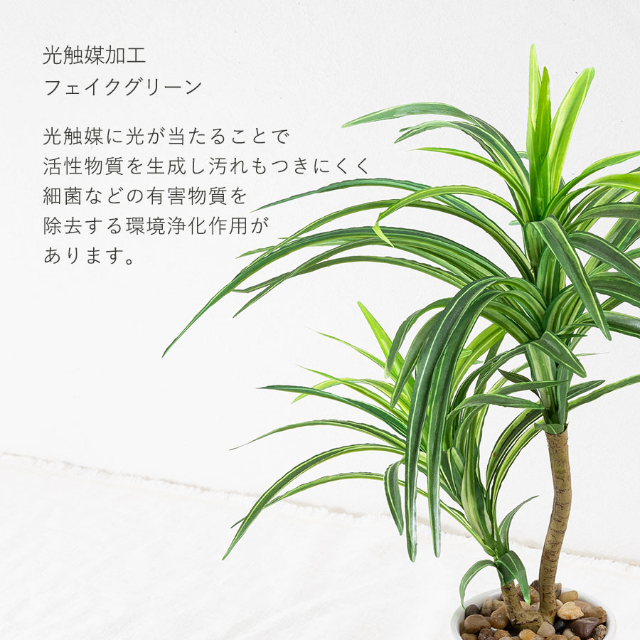 ユッカ フェイクグリーン