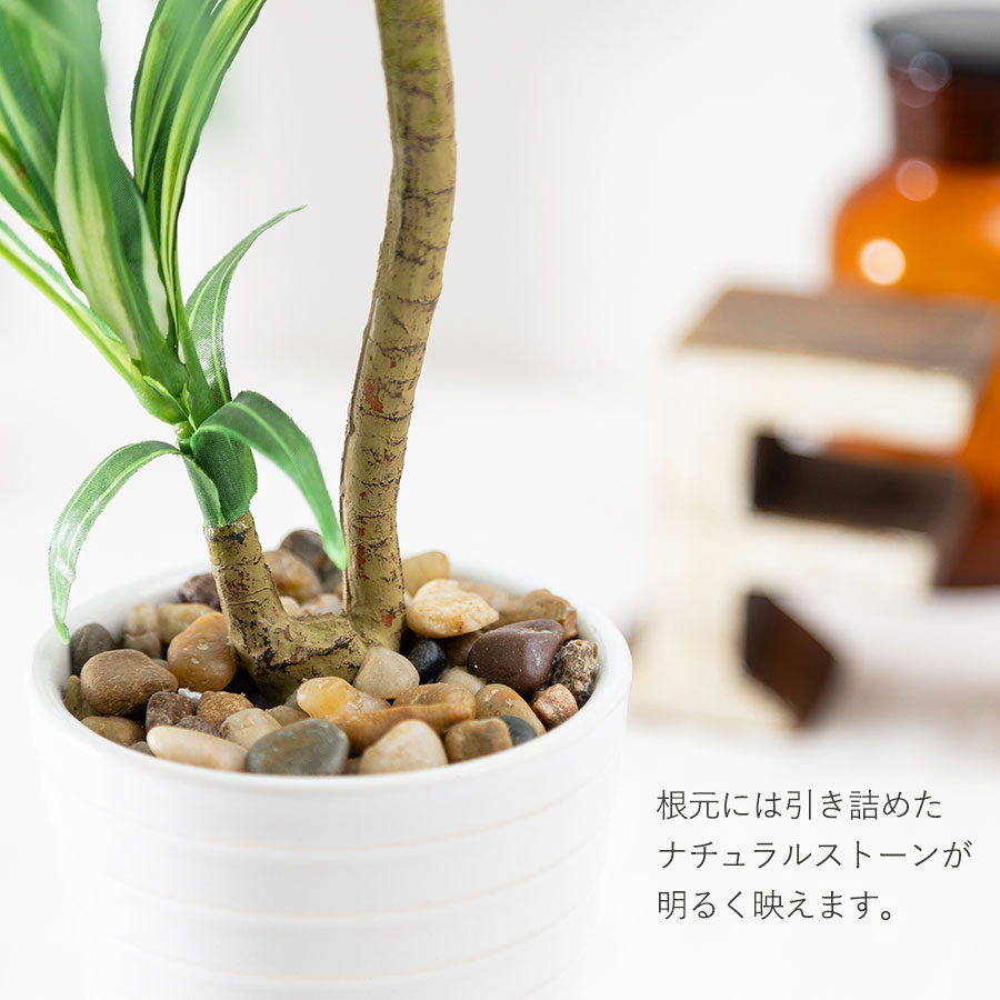 ユッカ フェイクグリーン