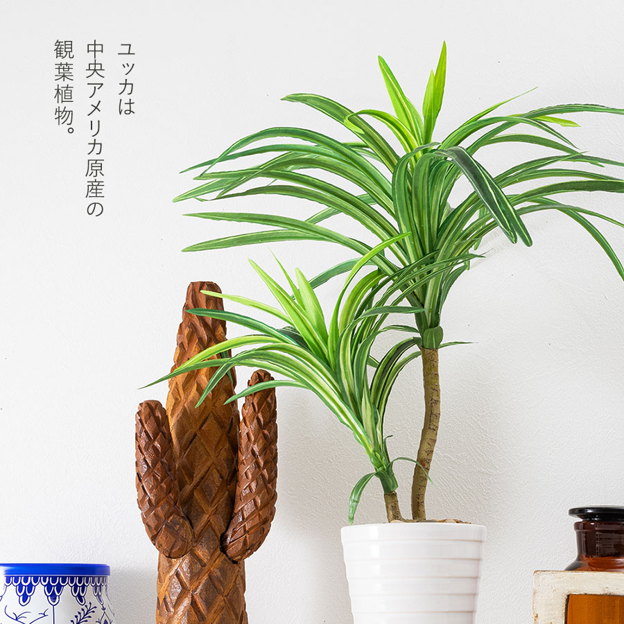 ユッカ フェイクグリーン