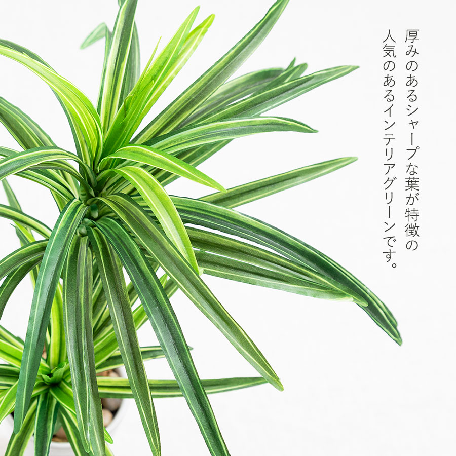 ユッカ フェイクグリーン