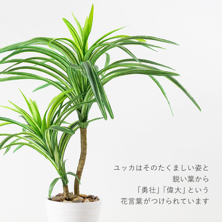 ユッカ フェイクグリーン