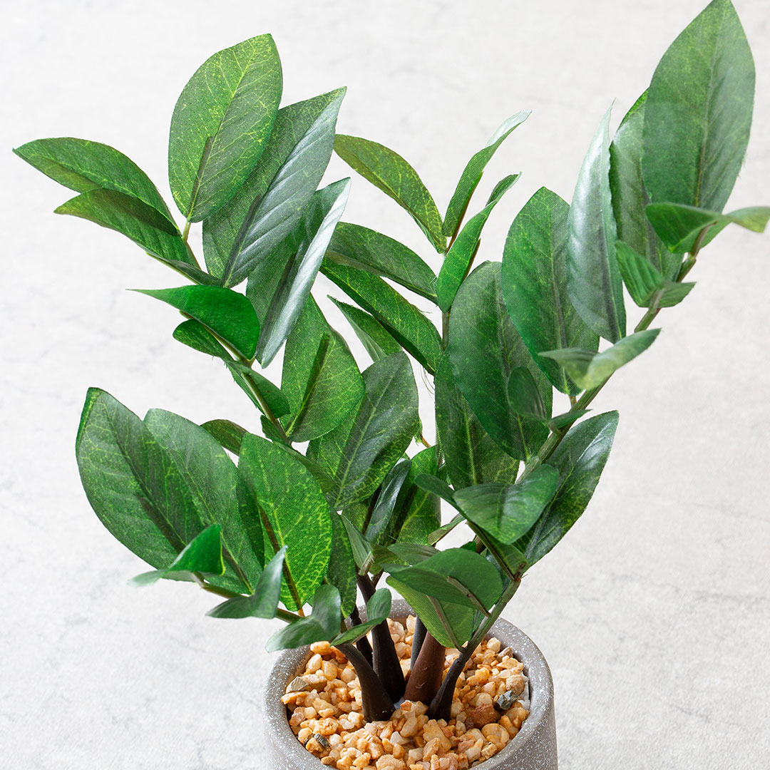 ザミフォリア セメントポット フェイクグリーン 光触媒加工