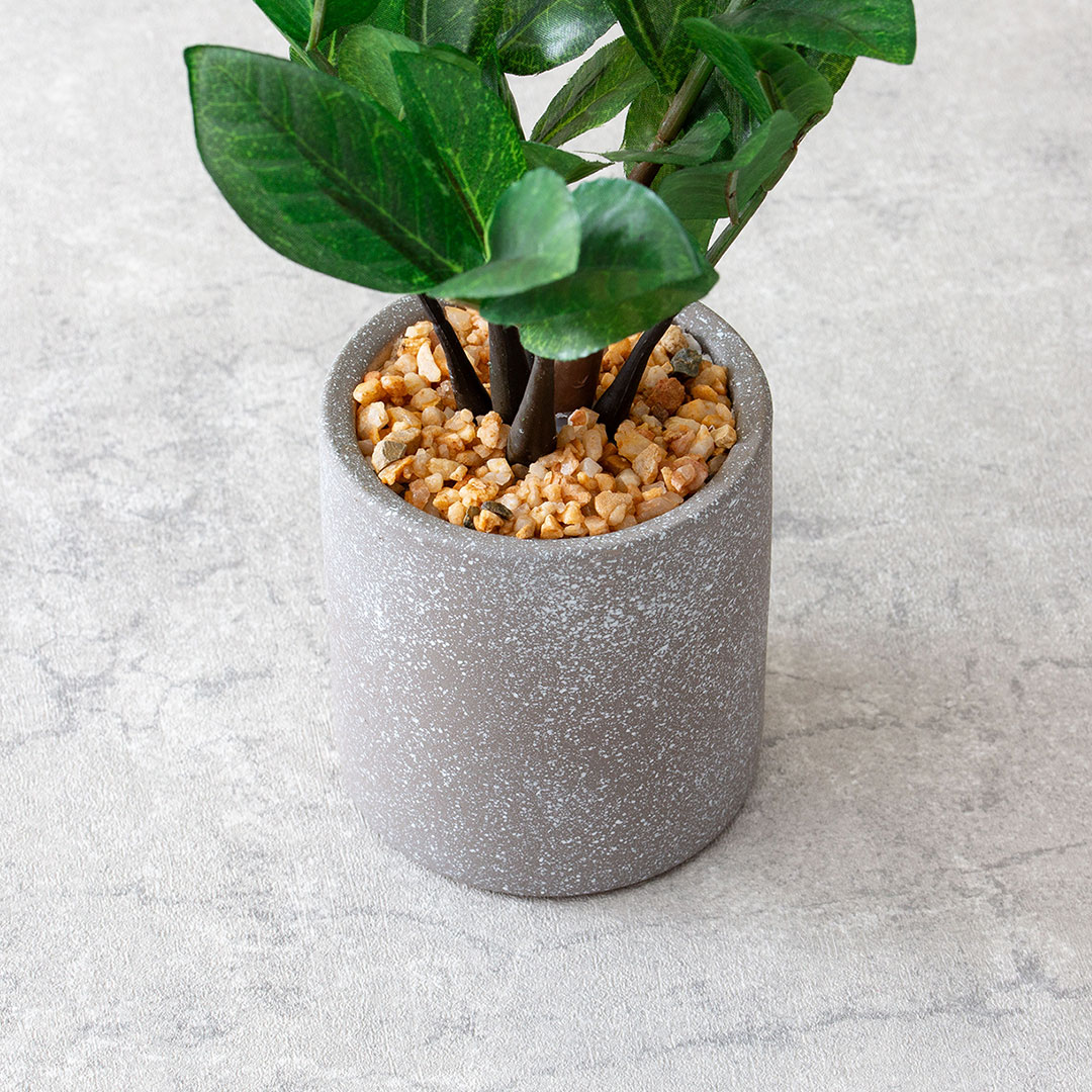 ザミフォリア セメントポット フェイクグリーン 光触媒加工