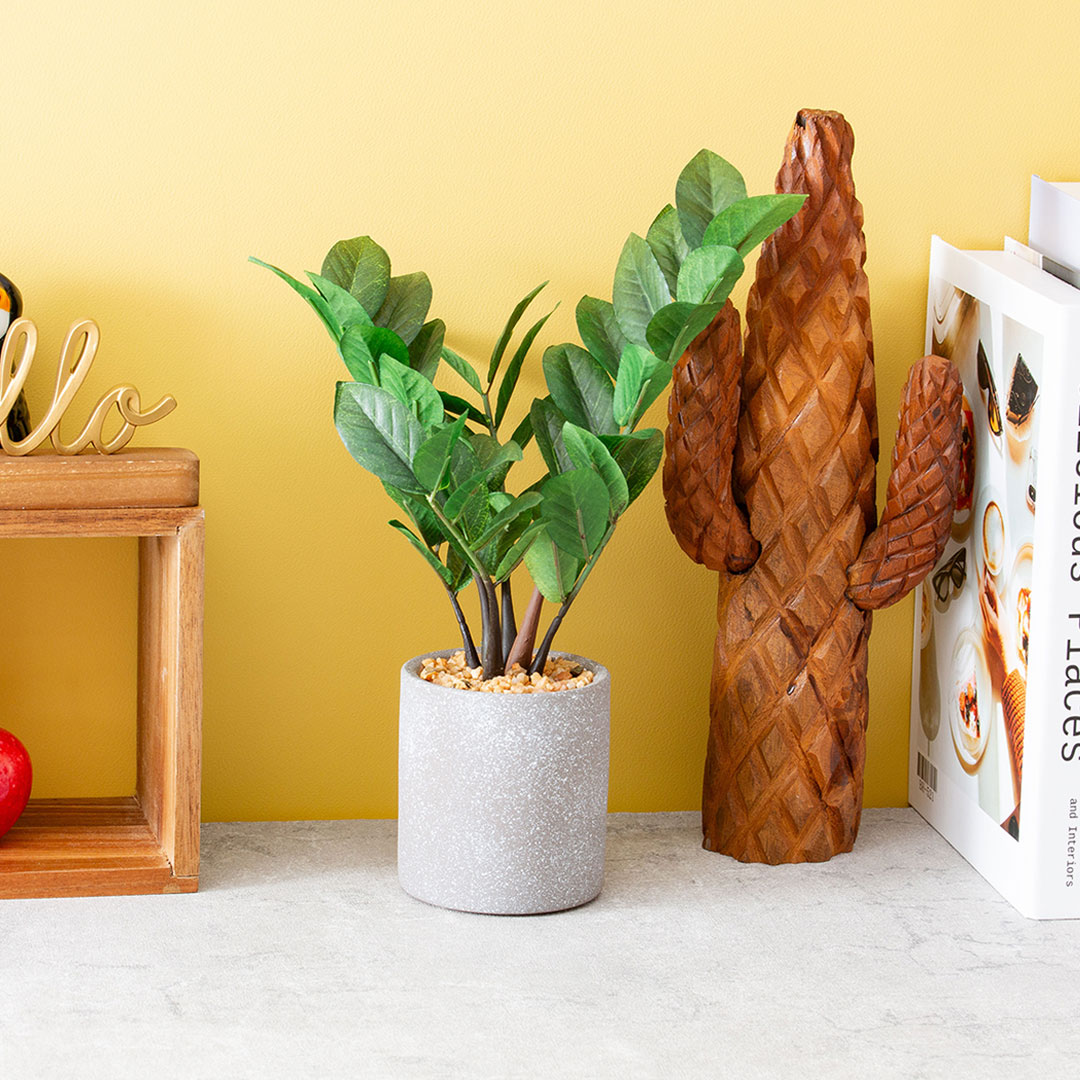 ザミフォリア セメントポット フェイクグリーン 光触媒加工