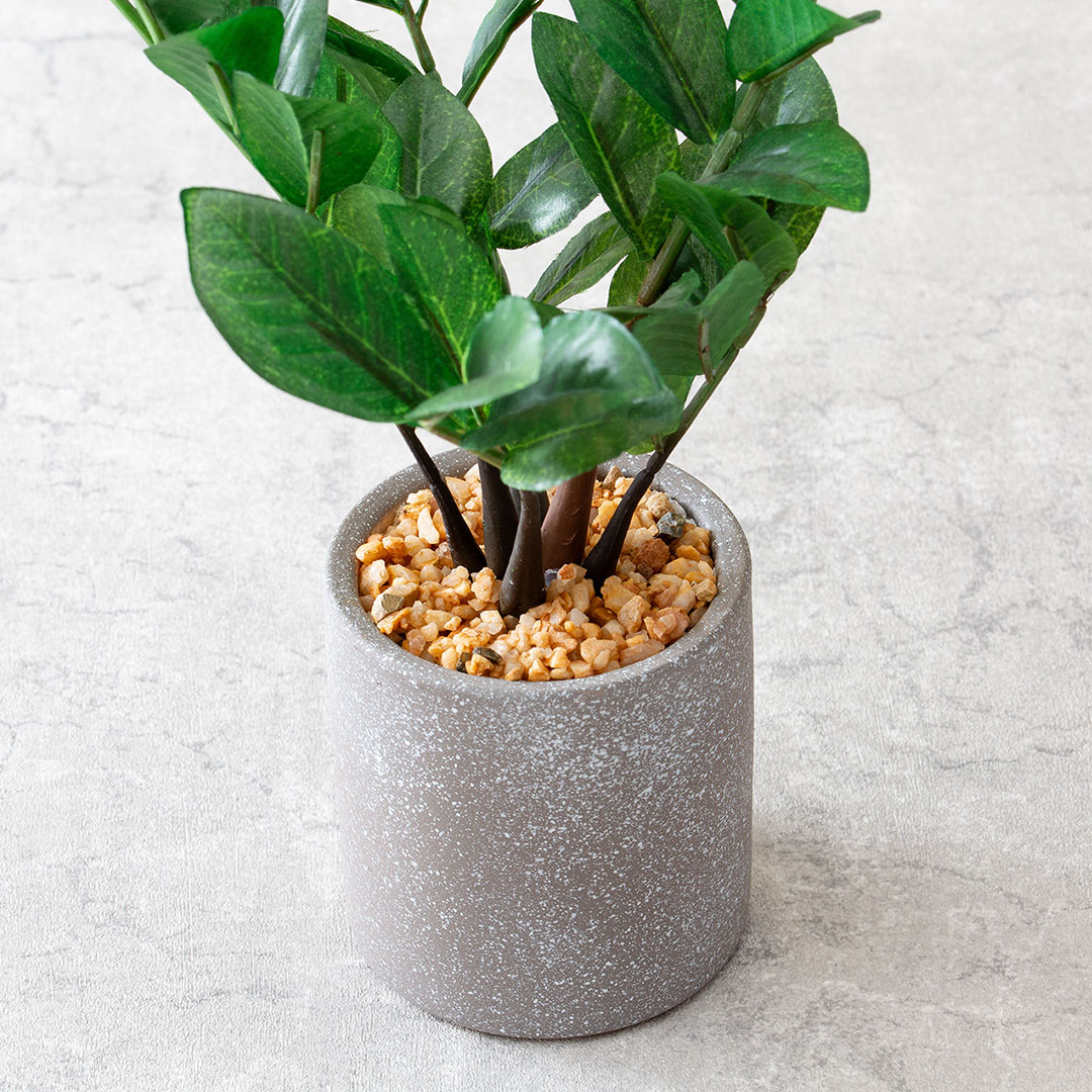 ザミフォリア セメントポット フェイクグリーン 光触媒加工