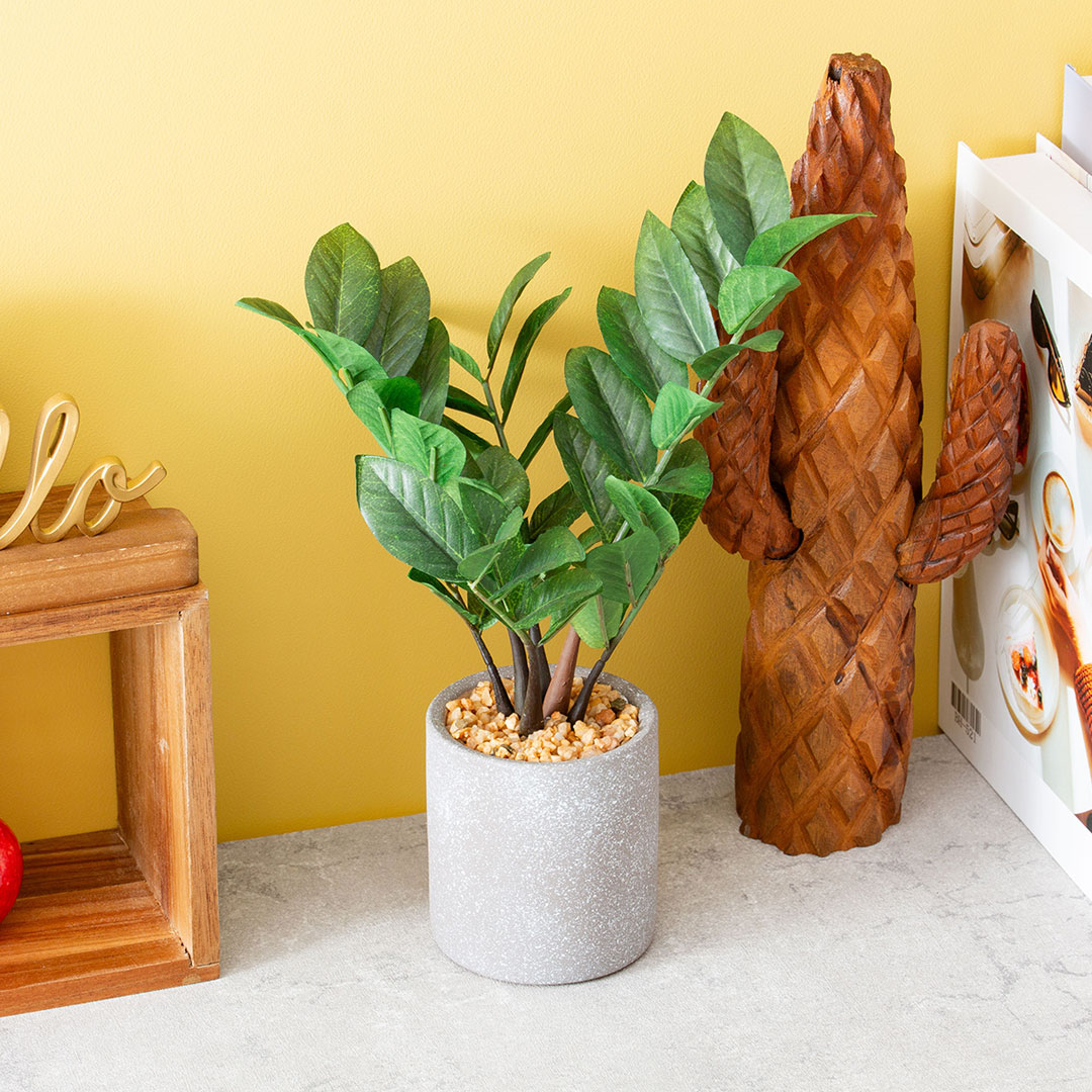 ザミフォリア セメントポット フェイクグリーン 光触媒加工