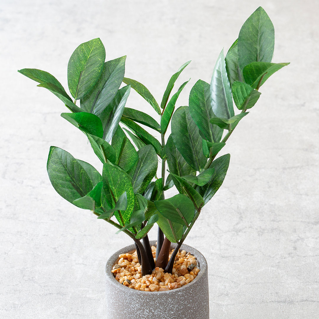 ザミフォリア セメントポット フェイクグリーン 光触媒加工