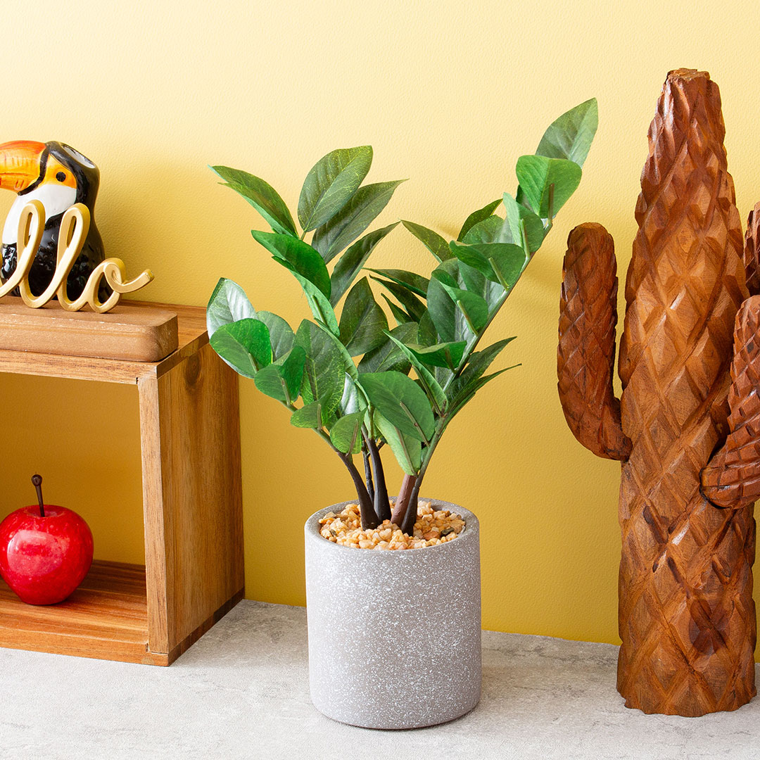 ザミフォリア セメントポット フェイクグリーン 光触媒加工