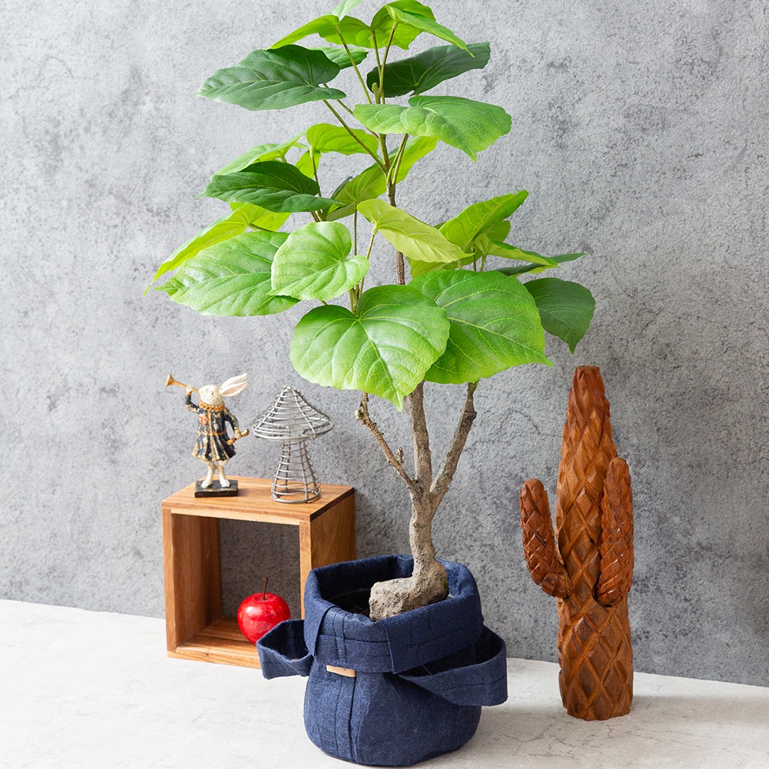 ウンベラータ フェイクグリーン 光触媒加工