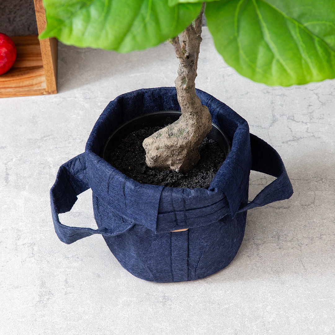 ウンベラータ フェイクグリーン 光触媒加工