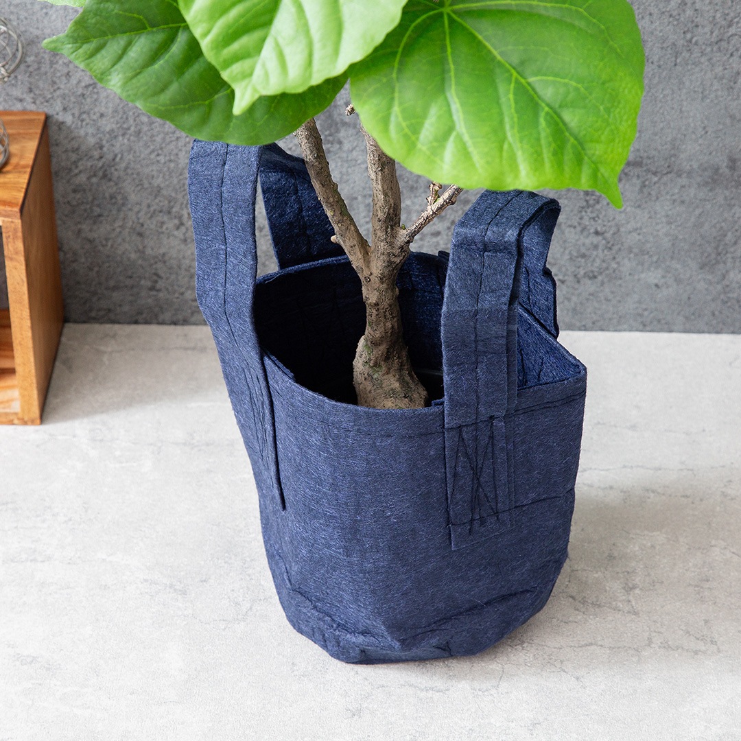 ウンベラータ フェイクグリーン 光触媒加工