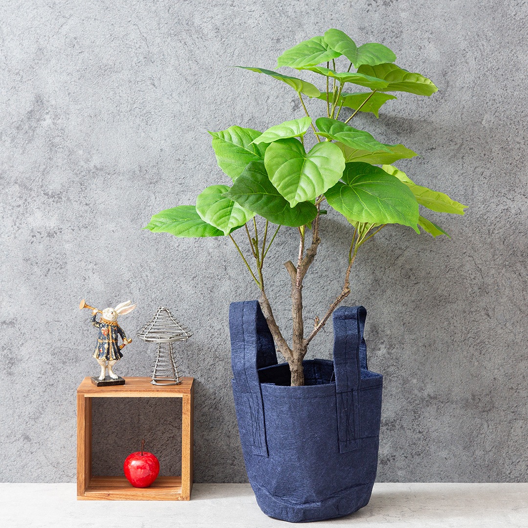 ウンベラータ フェイクグリーン 光触媒加工