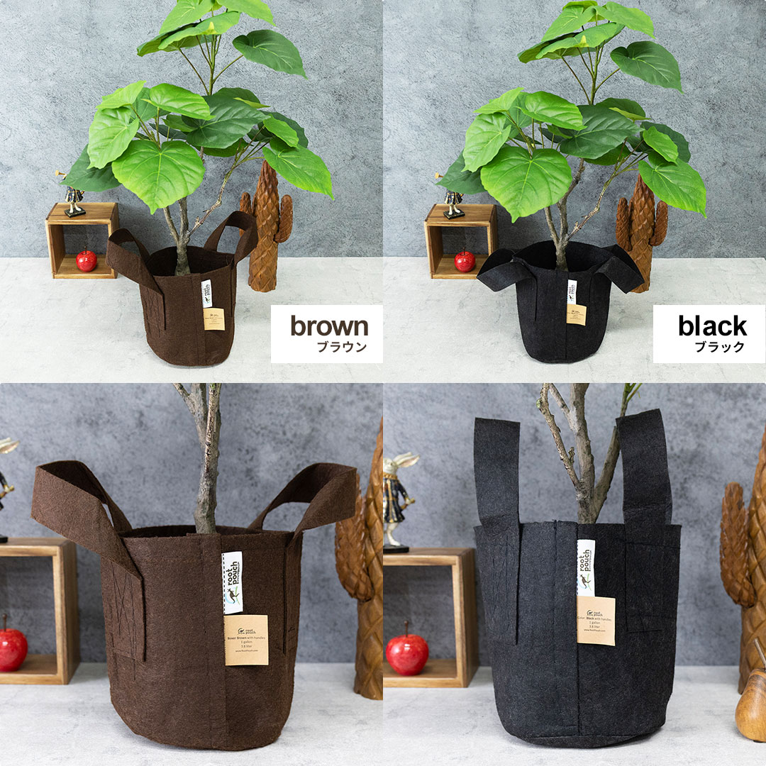 ウンベラータ フェイクグリーン 光触媒加工