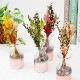 すぐに飾れるドライフラワーと花瓶のセット