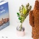 すぐに飾れるドライフラワーと花瓶のセット