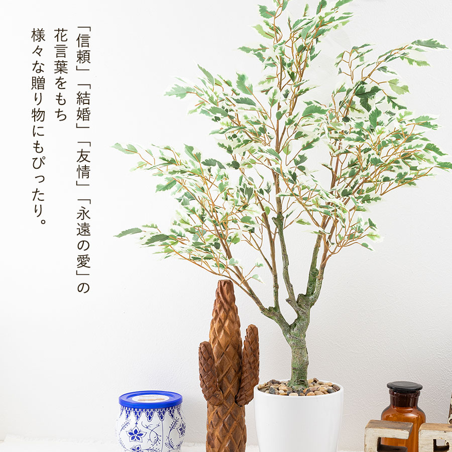 フィカス ベンジャミン フェイクグリーン