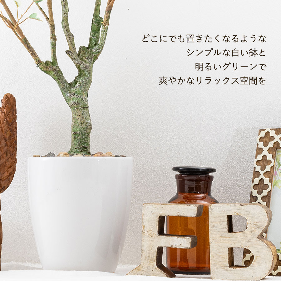 フィカス ベンジャミン フェイクグリーン