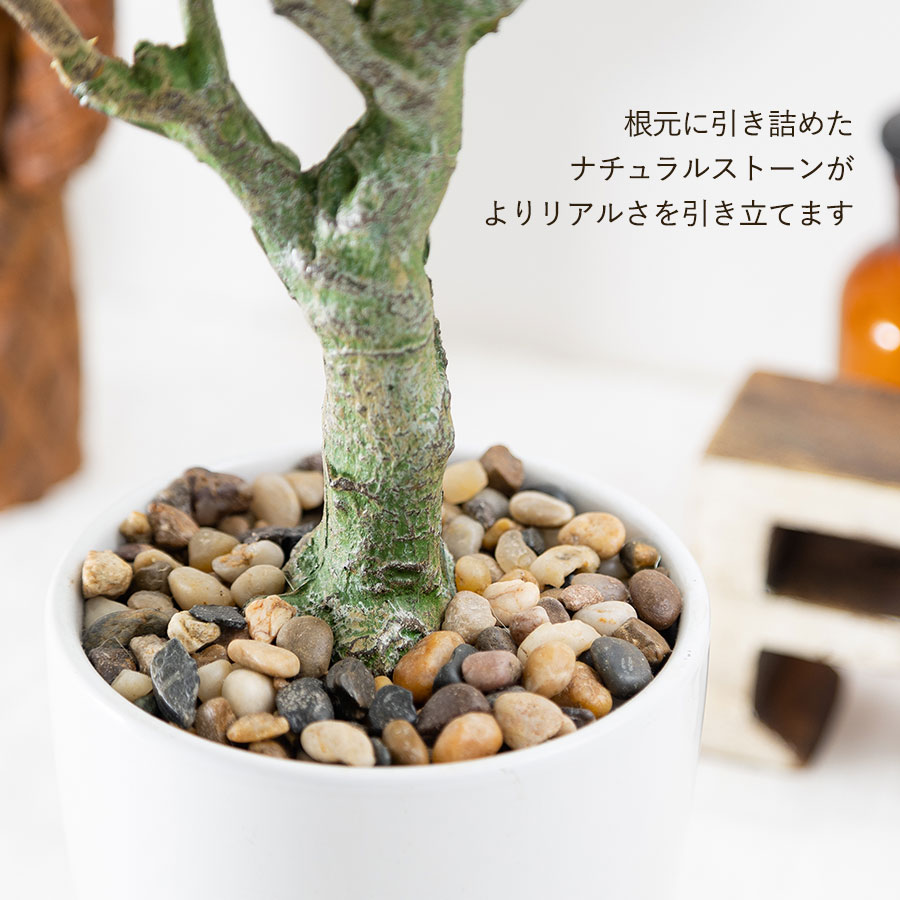 フィカス ベンジャミン フェイクグリーン