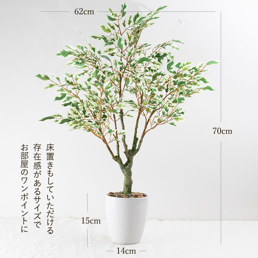 フィカス ベンジャミン フェイクグリーン