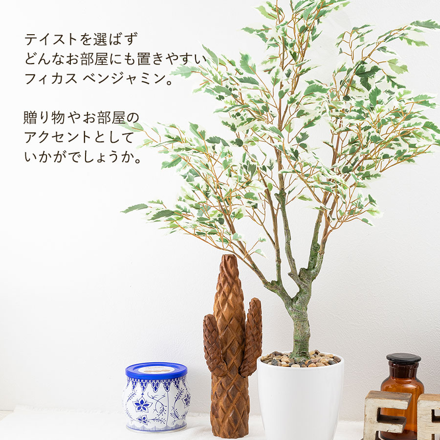 フィカス ベンジャミン フェイクグリーン