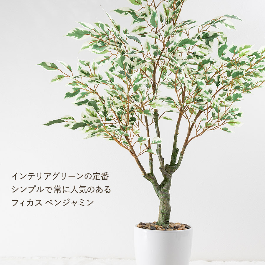 フィカス ベンジャミン フェイクグリーン