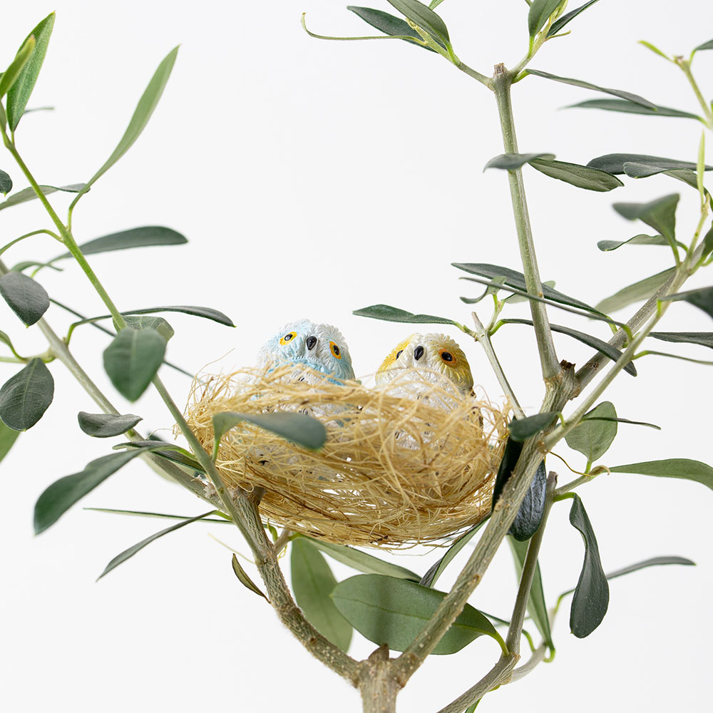 観葉植物 オリーブの木と幸福の鳥フクロウ 受皿付