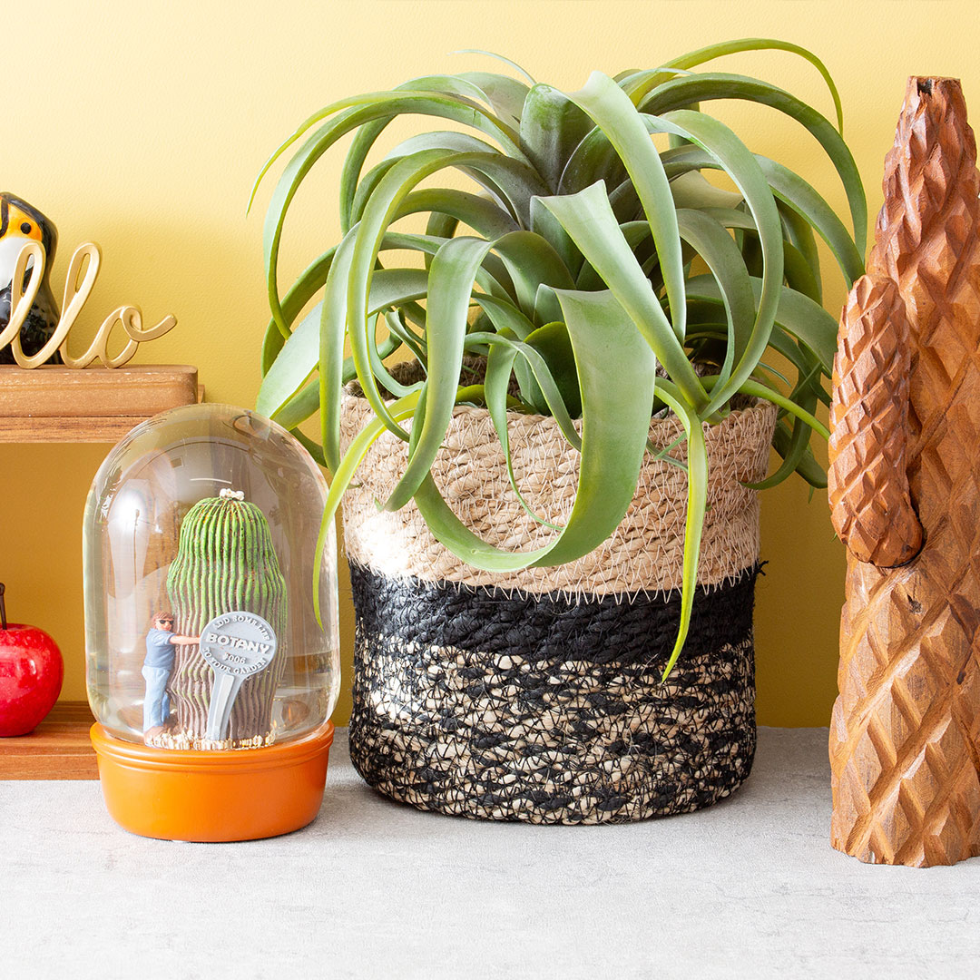 【PLANTS WATER GLOBE】プランツ ウォーター グローブ  カクタス ウィズ メン