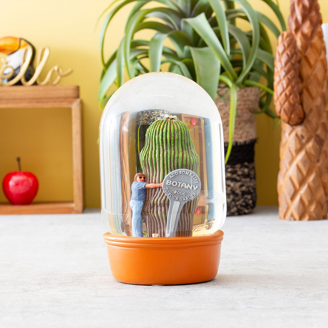 【PLANTS WATER GLOBE】プランツ ウォーター グローブ  カクタス ウィズ メン