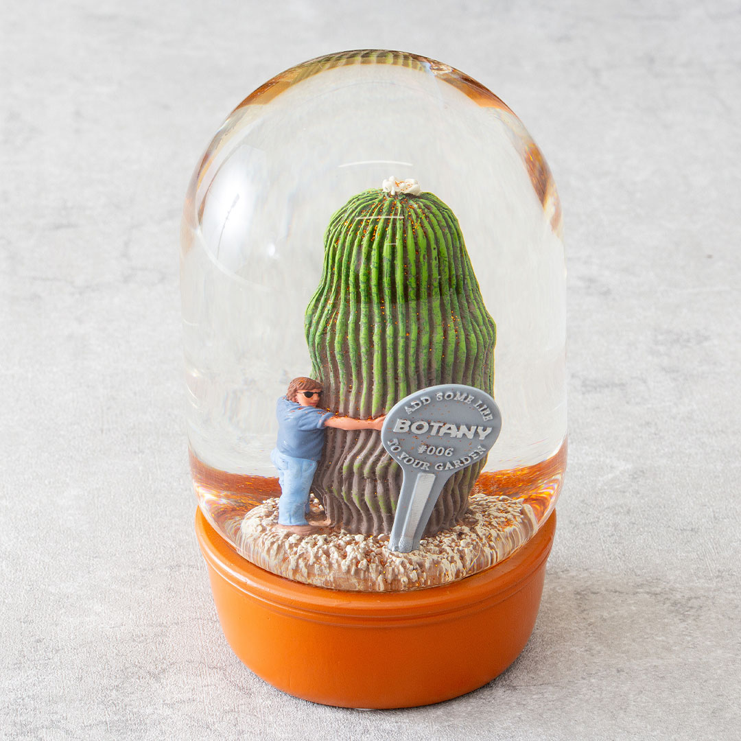 【PLANTS WATER GLOBE】プランツ ウォーター グローブ  カクタス ウィズ メン