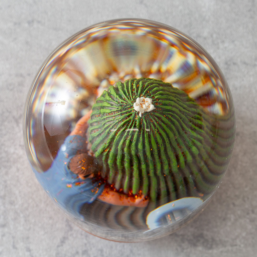 【PLANTS WATER GLOBE】プランツ ウォーター グローブ  カクタス ウィズ メン