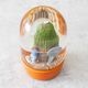 【PLANTS WATER GLOBE】プランツ ウォーター グローブ  カクタス ウィズ メン