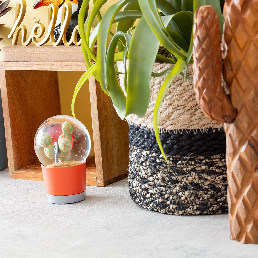 【PLANTS WATER GLOBE】プランツ ウォーター グローブ  ゲオメトリクス