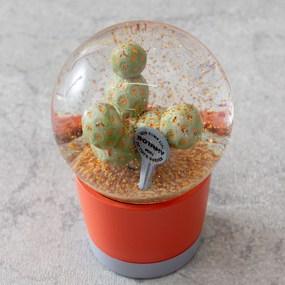 【PLANTS WATER GLOBE】プランツ ウォーター グローブ  ゲオメトリクス
